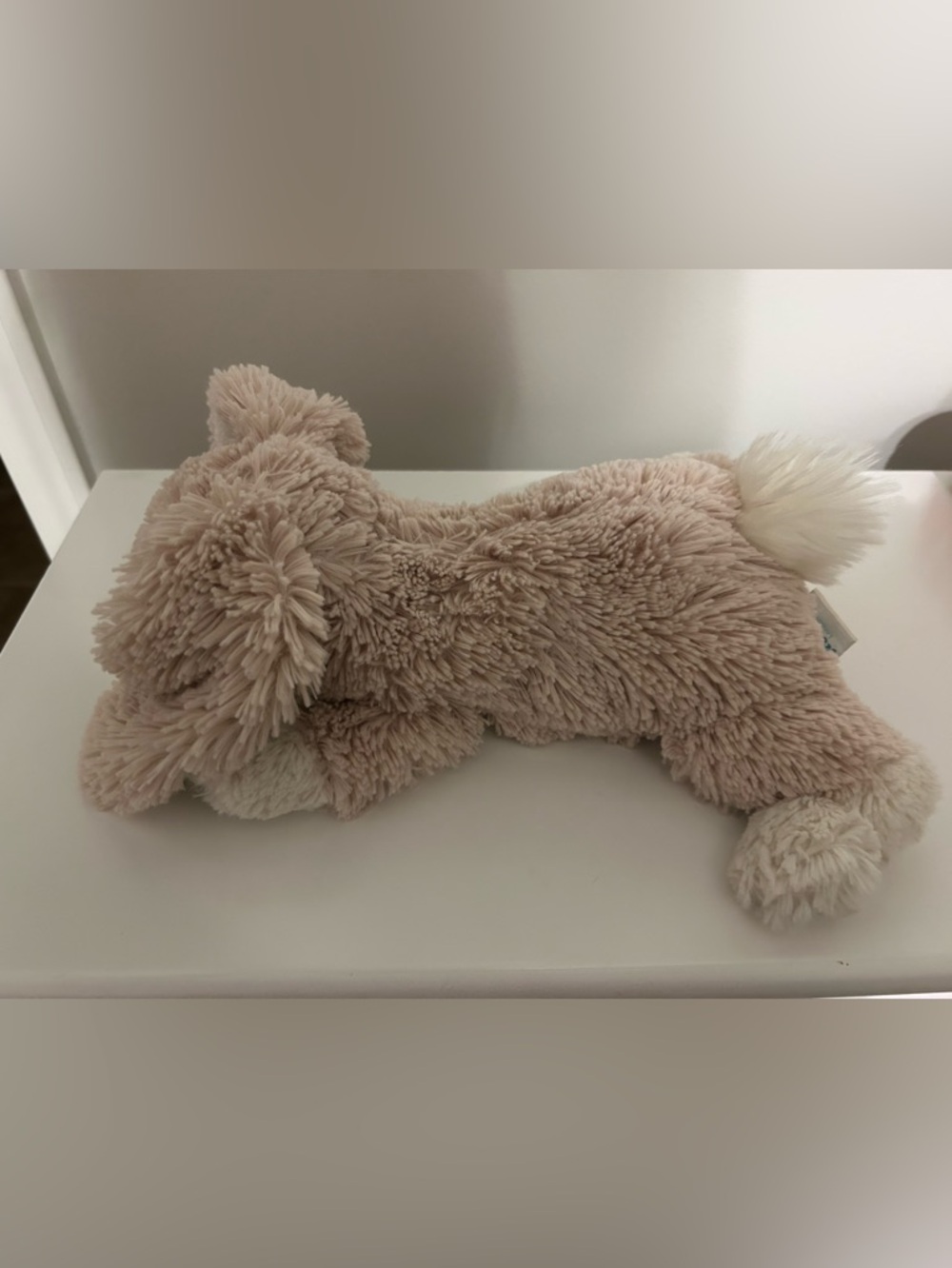 Jellycat Plush Bunny in Light Beige with Cream Tag Details